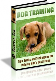 Ebook cover: 90 Dog Training Tips