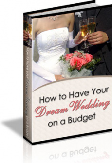 Ebook cover: 101 Wedding Tips