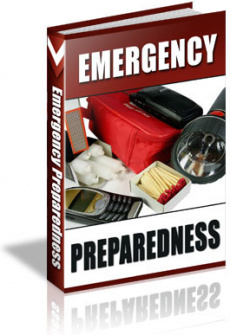 Ebook cover: 101 Emergency Tips