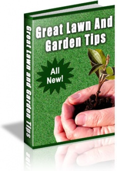 Ebook cover: 101 Gardening Tips