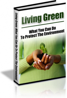 Ebook cover: 97 Tips Environment