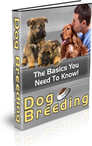 Ebook cover: Dog Breeding - What You Need To Know!