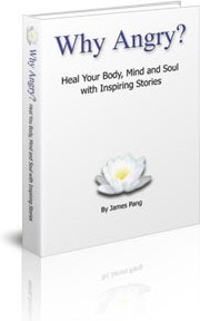 Ebook cover: Why Angry? Heal Your Body, Mind and Soul