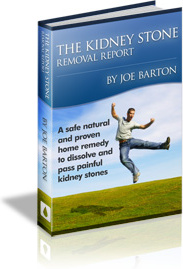 Ebook cover: The Kidney Stone Removal Report