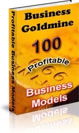 Ebook cover: Business Goldmine