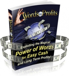 Ebook cover: Words to Profits