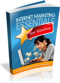 Ebook cover: Internet Marketing Essentials For Newbies