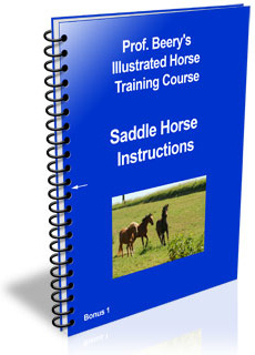 Ebook cover: The Secrets of Riding Saddle Horse