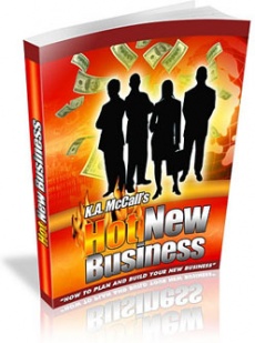 Ebook cover: Hot New Business