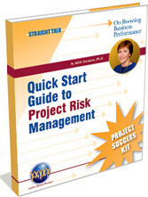 Ebook cover: Project Success Kit