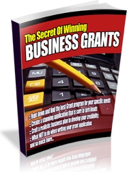 Ebook cover: How to Successfully Apply for Business Grants