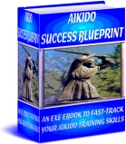 Ebook cover: AIKIDO SUCCESS BLUEPRINT