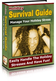 Ebook cover: Holiday Survival Guide