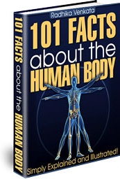 Ebook cover: 101 Facts About the Human Body