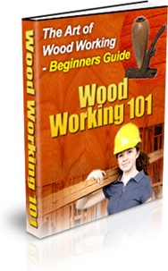 Ebook cover: The Art of Woodworking
