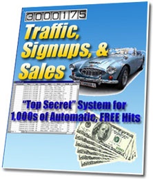 Ebook cover: Traffic, Signups, & Sales System