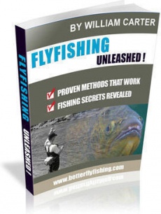Ebook cover: Flyfishing Unleashed
