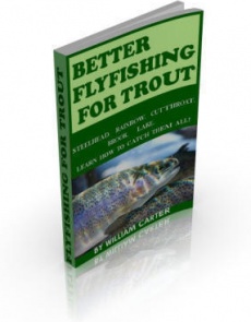 Ebook cover: Better Flyfishing for Trout
