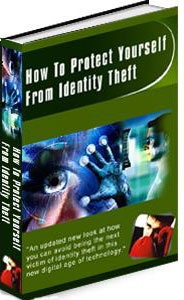 Ebook cover: Preventing Identity Theft