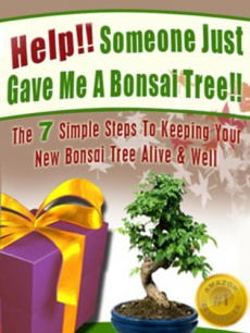 Ebook cover: Help!! Someone Just Gave Me A Bonsai Tree!!