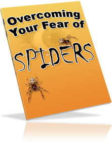 Ebook cover: Overcoming Your Fear of Spiders