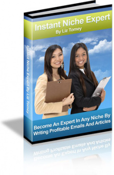 Ebook cover: Instant Niche Expert