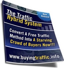 Ebook cover: The Traffic Hybrid System