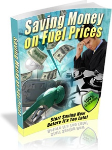 Ebook cover: Saving Money on Fuel Prices