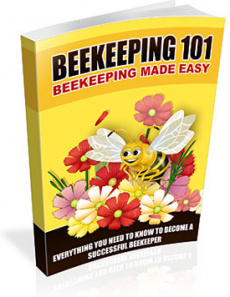 Ebook cover: Beekeeping 101