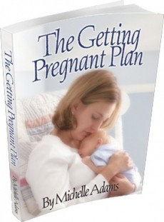 Ebook cover: The Getting Pregnant Plan