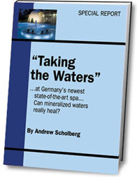 Ebook cover: Taking the Waters