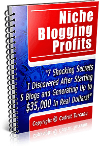 Ebook cover: Niche Blogging Profits