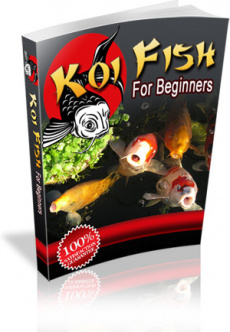 Ebook cover: Koi Fish For Beginners