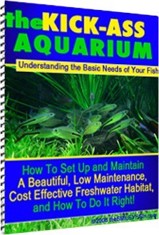 Ebook cover: The Kick-ass Aquarium: Understanding The Basic Needs Of Your Fish.