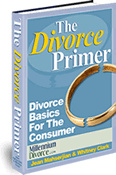 Ebook cover: Divorce Primer