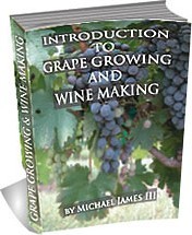 Ebook cover: Introduction To Growing Grapes and Wine Making