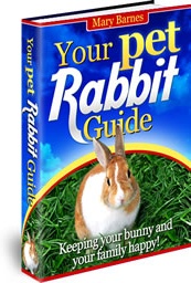 Ebook cover: Your Pet Rabbit Guide