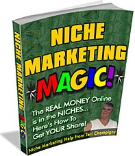 Ebook cover: Niche Marketing Magic!