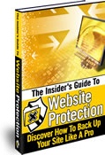 Ebook cover: The Insider's Guide To Website Protection