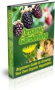 Ebook cover: Organic Gardening