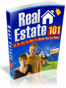 Ebook cover: Real Estate 101