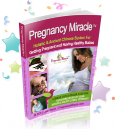 Ebook cover: Pregnancy Miracle