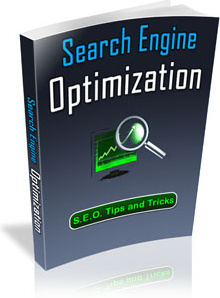 Ebook cover: Search Engine Optimisation
