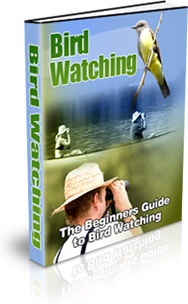 Ebook cover: Bird Watching