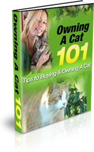Ebook cover: Owning A Cat 101