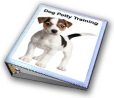 Ebook cover: Dog Potty Training
