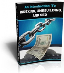 Ebook cover: An Introduction To Indexing, Linkbuilding, And SEO