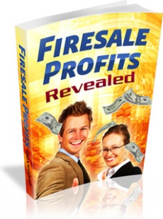 Ebook cover: Firesale Profits