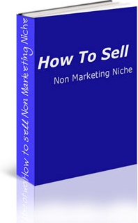 Ebook cover: How Sell Niche Products