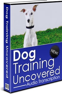 Ebook cover: Dog Training Uncovered - Audio Transcription